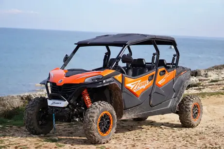 4 Seater Buggy vehicle